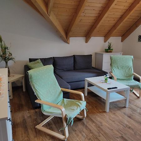 Gemuetliche Ferienwohnung Im Schoenen Erzgebirge - Wohnung Fruehling Eibenstock Kültér fotó