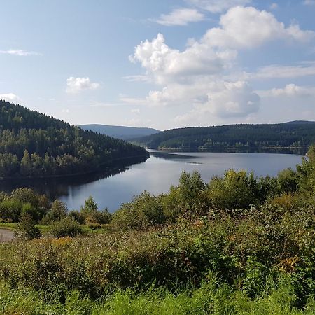 Gemuetliche Ferienwohnung Im Schoenen Erzgebirge - Wohnung Fruehling Eibenstock Kültér fotó